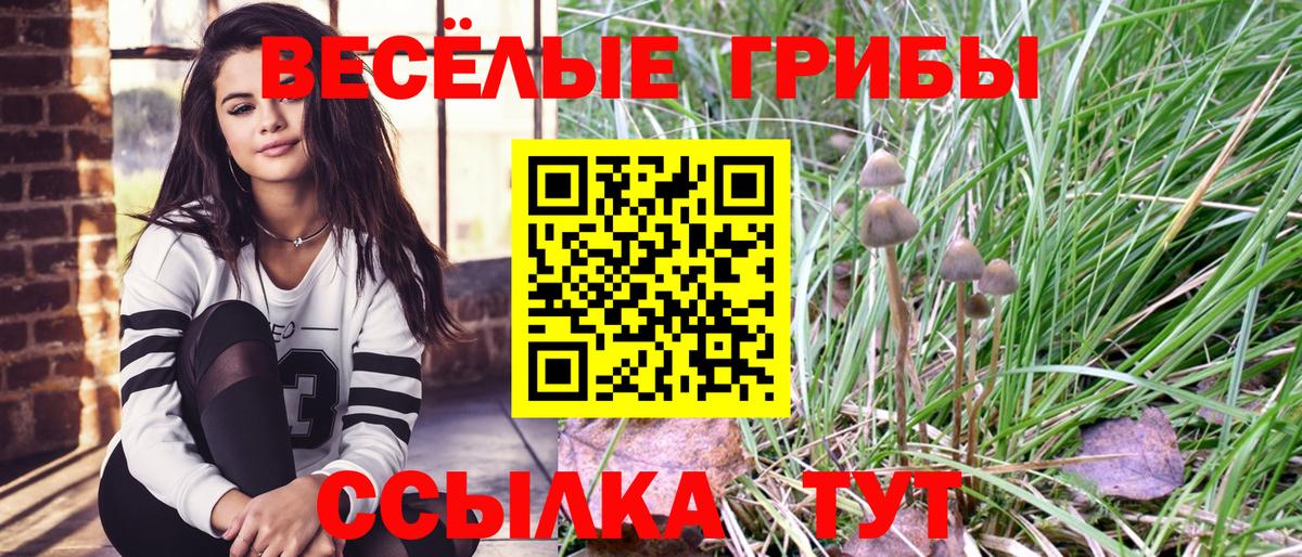 Галлюциногенные грибы Psilocybe  Вход с VPN  купить наркотики сайты  Галлюциногенные грибы мицелий  Кимовск 