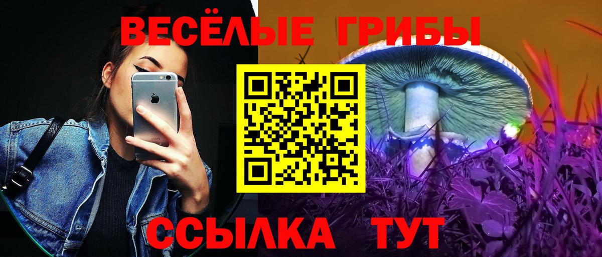 Галлюциногенные грибы прущие грибы Кимовск
